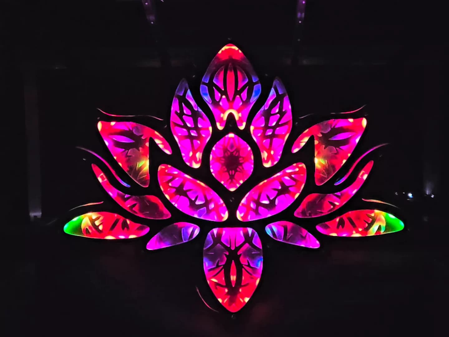 Flower of Renewal - Video 3