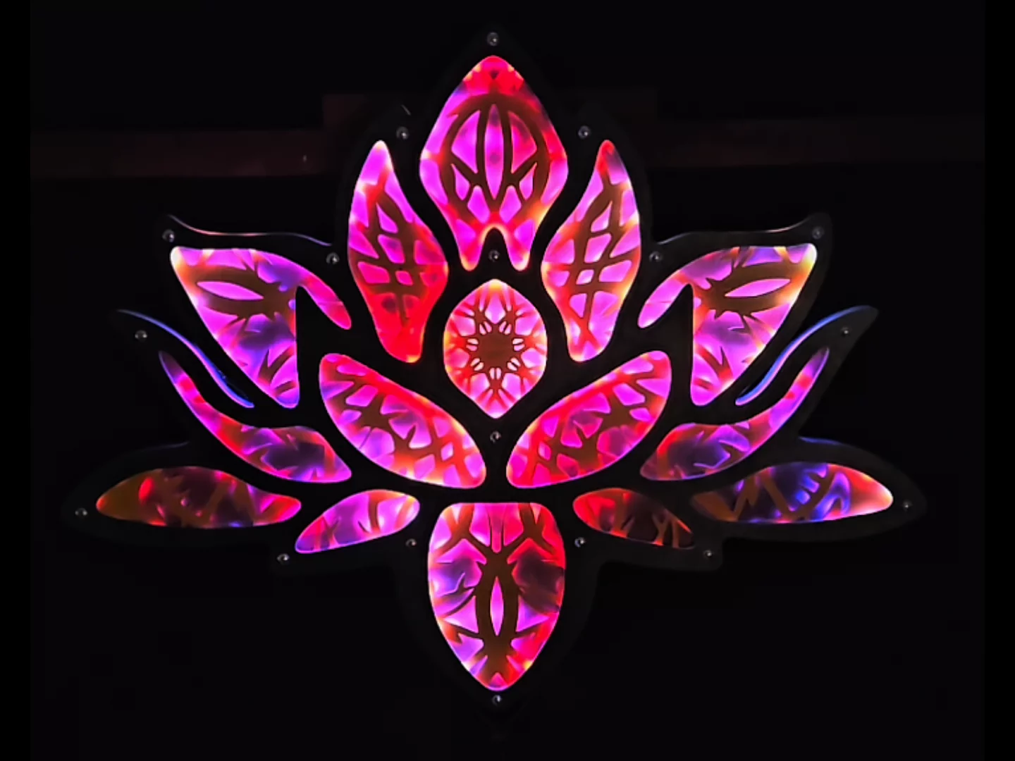 Flower of Renewal - Video 2