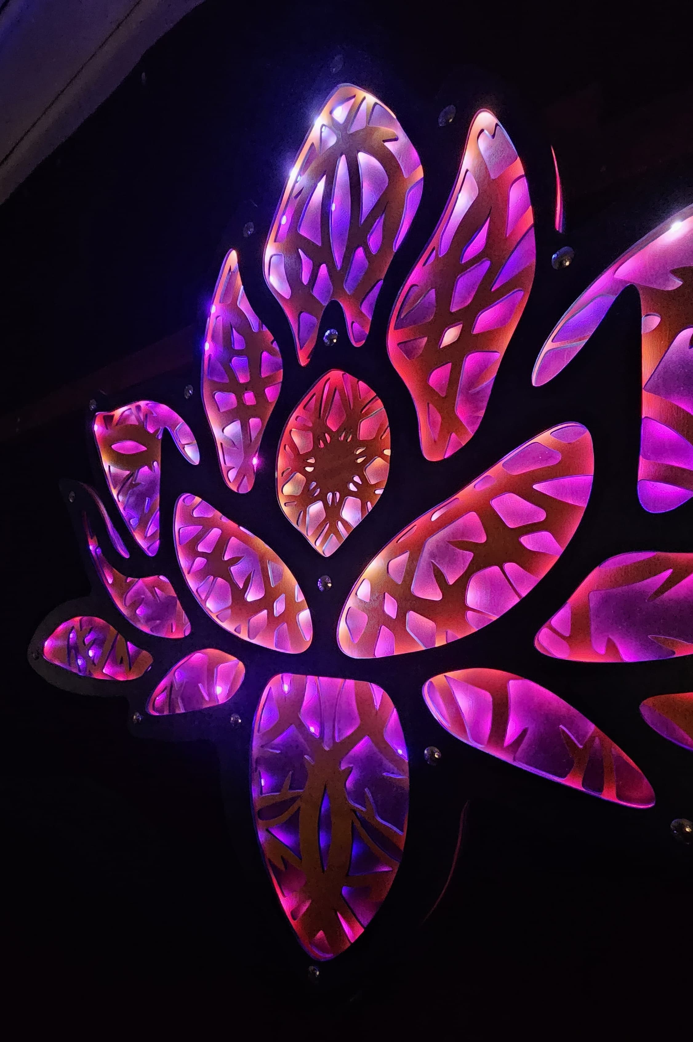 Flower of Renewal